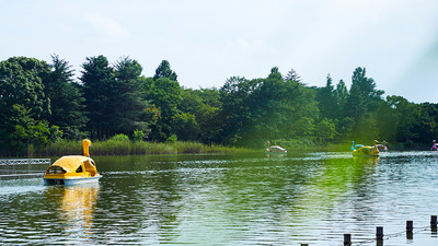 千葉県立柏の葉公園バーベキュー場 レストラン情報 Tablecheck