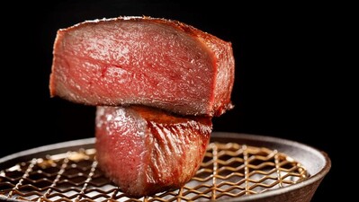 ZAIGLE サークル炙輪（あぶりん） ホットプレート 無煙 焼き肉