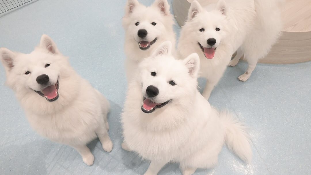 0124cab5.jpg?1729667438