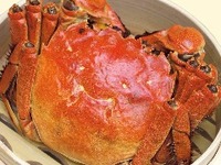 【単品】上海蟹メス
