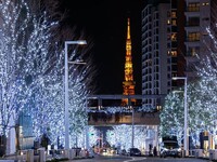 クリスマス特別コース