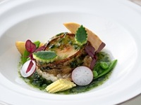 1日限定　特別シーフードコース