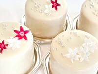 Viola ビオラ-ThanksMother-（プティ）