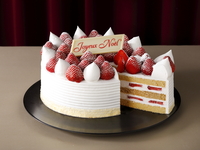 【NOC・NOL会員さま】新スーパーあまおうショートケーキ7号（直径約21cm）￥17,280