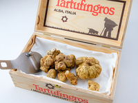 【11月12日・13日・14日】白トリュフ特別ディナー