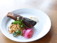 【LUNCH OPTION】本日のお魚料理