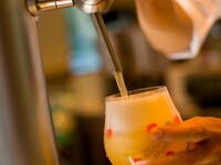 直輸入ベルギービール