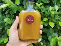 Tepa Kombucha - Lamphun Mahachanok Mango