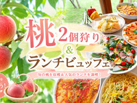 ★桃2個狩り＆ランチビュッフェ