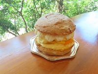 Panbi Mango (whole) 12cm