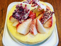 cocotte のクリスマスチーズケーキ