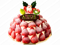 E.いちごのズコット