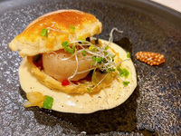 季節のフレンチフュージョン　ランチコース