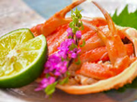 【ディナー】おまかせ特選