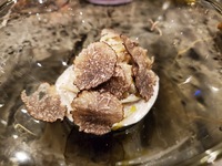 【ディナー】TEATROACCAコース