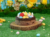 Easter Special Whole Cake