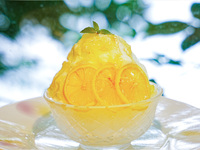 MUKAITSURU's Shaved Ice -Honey Lemon Yogurt