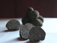 Black Truffle Gala Dinner 2026
