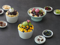 Summer berry bingsu 