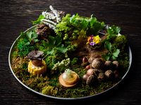 С 1 декабря <Обед> Стандартный курс омакасе из 7 блюд с использованием сезонных ингредиентов.