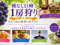 ★ Kyoho grape picking & lunch buffet