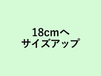 タルトフロマージュ・シャインマスカット18cmにサイズアップ(+4820円)