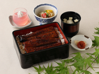 「夏季限定」浜名湖産うな重