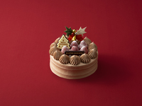 【一般】　クリスマスデコレーションチョコレート（5号）　【カード決済用】