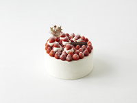 【一般】　サパン・ド・ノエル　【カード決済用】