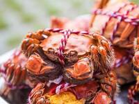 ◆菊花◆上海蟹の食べ比べコース