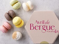 マカロン 6個入