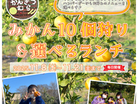 ★みかん10個狩り&カフェおまかせランチ