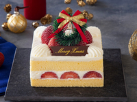 クリスマス ストロベリースクエア　4号（約12cm）