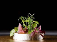 【ディナー】クリスマスコース