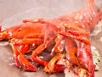 【활! 오마르 새우와 브랜드 와규 스테이크의 코스】전 8품(2명 이상)