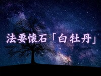 昼限定｜法事・法要向け懐石「白牡丹」＜土日祝個室＞