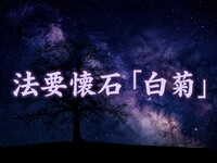 昼限定｜法事・法要向け懐石「白菊」＜土日祝個室＞