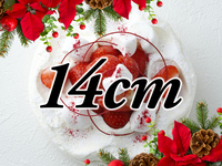 [Receipt from 16:00 to 17:00] Japonais Noel (14cm)