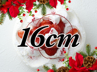 【14時〜15時のお受け取り】ジャポネ・ノエル(16cm)