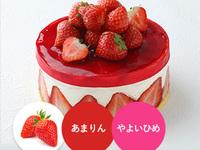[Pick up between 13:00 and 14:00] Fraisier  (14cm)