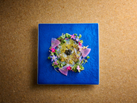 [Reservation required for dinner] Baobab course (from 15,000 yen)