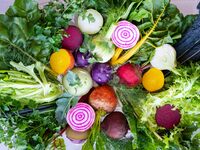 Farmers Collection 岩崎学園ファットリア　葦毛の里