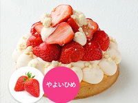 [Receipt from 13:00 to 14:00] Strawberry tart fromage (14 cm)