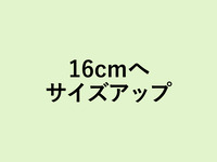 ピスタチオとチェリーのタルト 16cmにサイズアップ(+2360円)