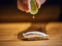 【寿司】 おまかせコース