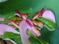 A course where you can enjoy conger eel dumplings, conger rice, conger teriyaki, etc. (10 dishes in total)