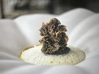 Lunch【33,000】常連さんが山地に問いました。「この価格で山地さんがすべての食材を厳選したらどうなるの？」