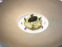 メニュー コンチェルト（ディナー）