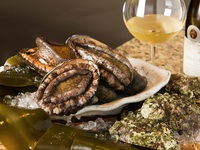 [Christmas 2025] Tsubaki ~ Specially Selected Japanese Black Beef x Grilled Fresh Abalone + Champagne Toast