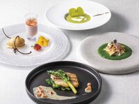 【平日限定シーフードディナーコース】全6品 料理長厳選の魚介類を特製ソースで
